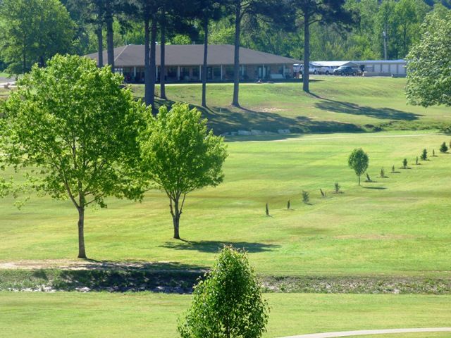 95 CR 2100, Daingerfield, TX 75638